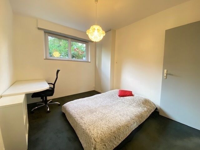 "Découvrez la Nouveauté à Mulhouse! Appartement F3/4 Mulhouse - Img 2063