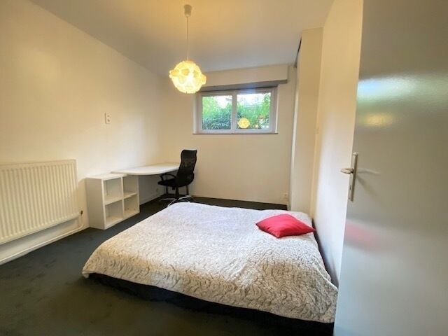 "Découvrez la Nouveauté à Mulhouse! Appartement F3/4 Mulhouse - Img 2062