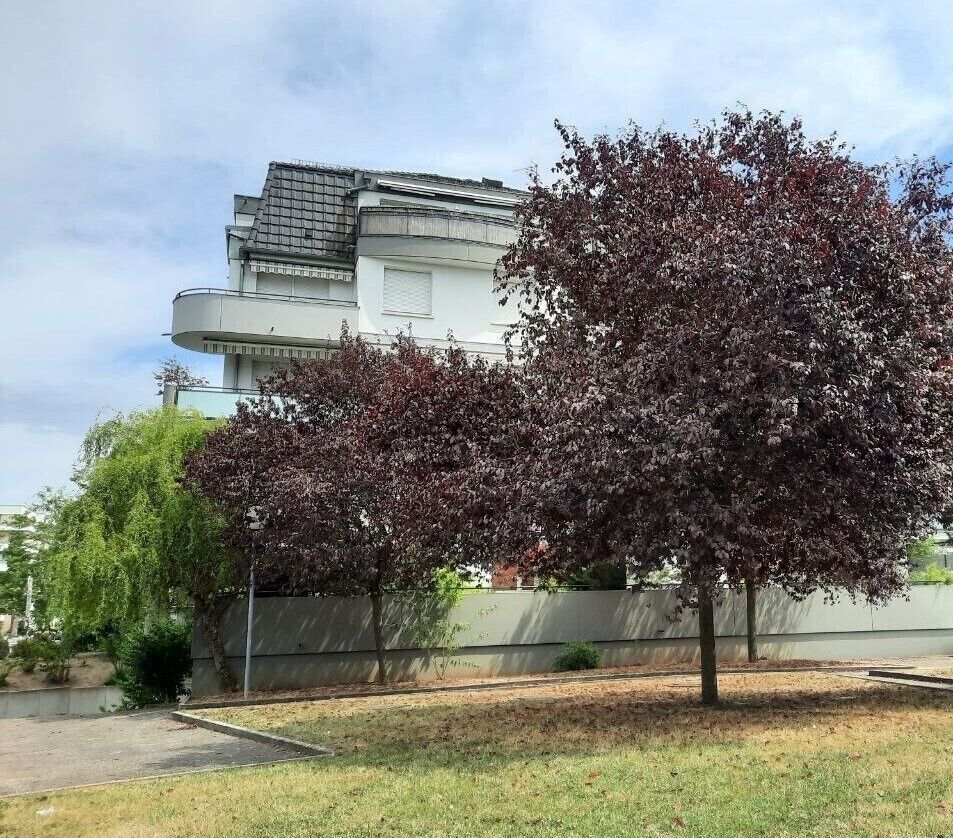 Agréable appartement 4 pièces d'environ 81 m² à Illkirch-Graffenstaden - Photo 2023-07-19 15-28-31  23 2