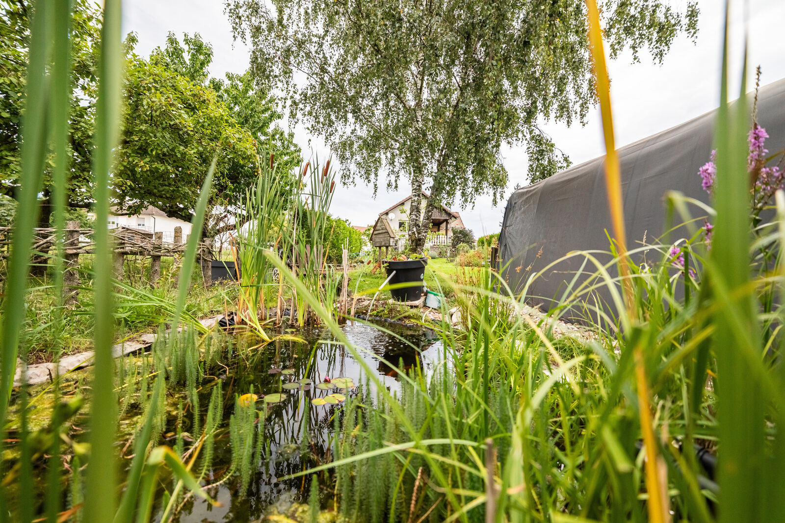 Maison Individuelle, type Plain-pied, sur sous-sol. - 7q8a7412