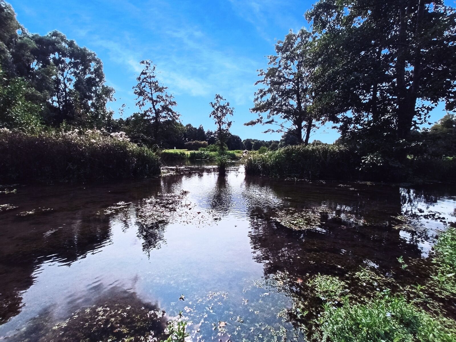 62223 - Anzin-Saint-Aubin - Les Terrasses du Golf - T2 avec balcon - Parc