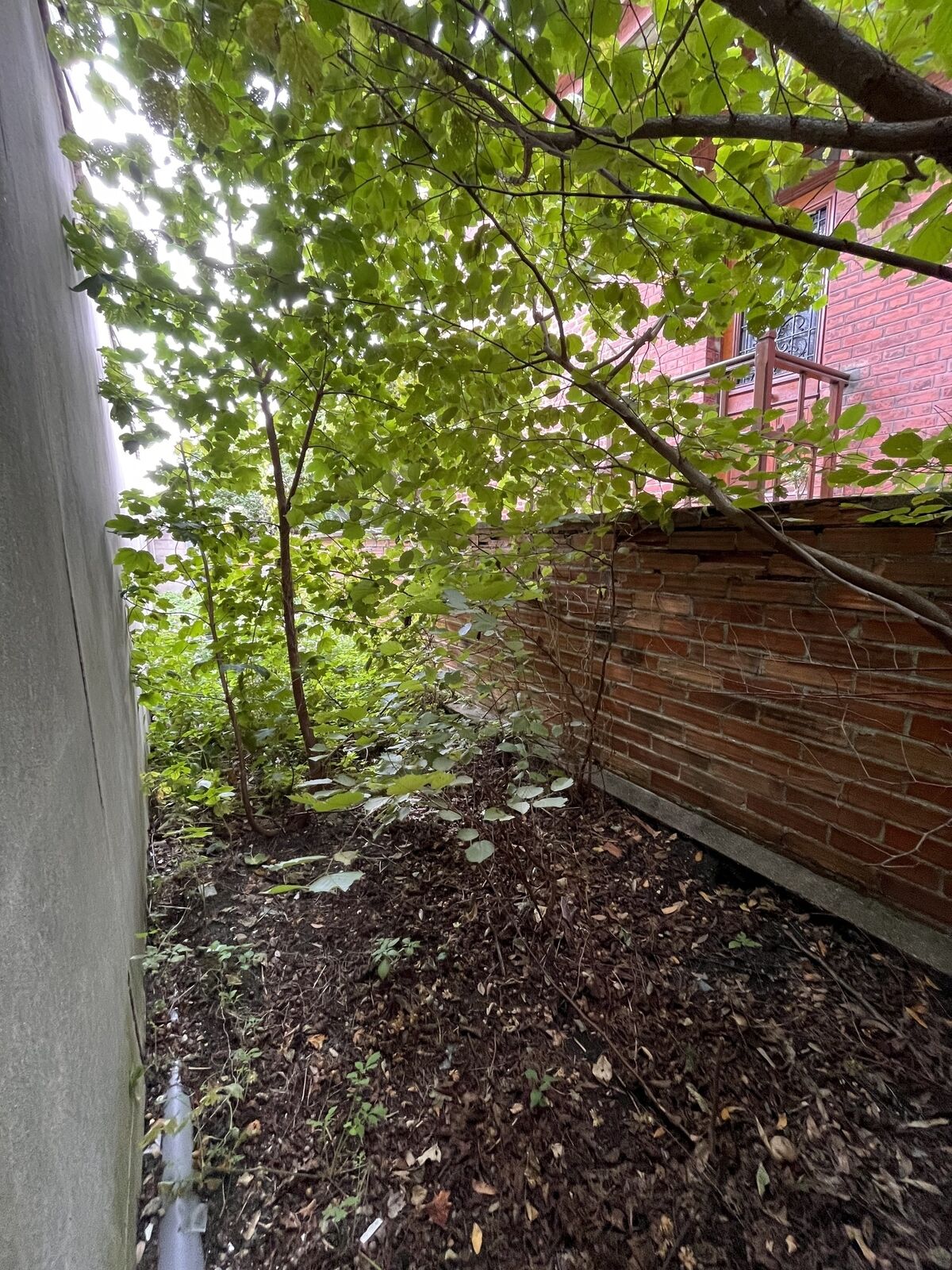 Atelier à vendre dans un quartier résidentiel du Perreux sur Marne - Img 1725