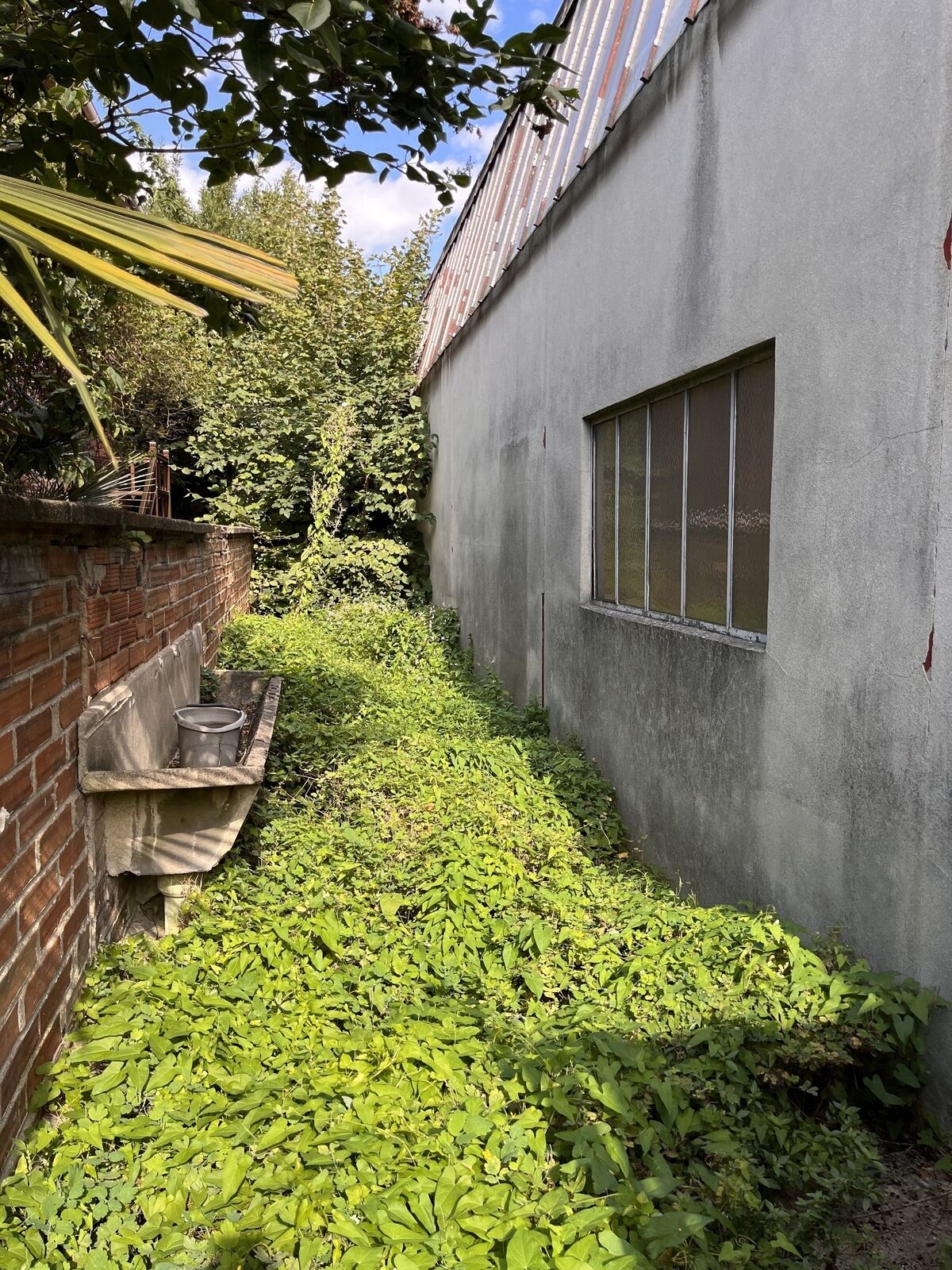 Atelier à vendre dans un quartier résidentiel du Perreux sur Marne - Img 1738