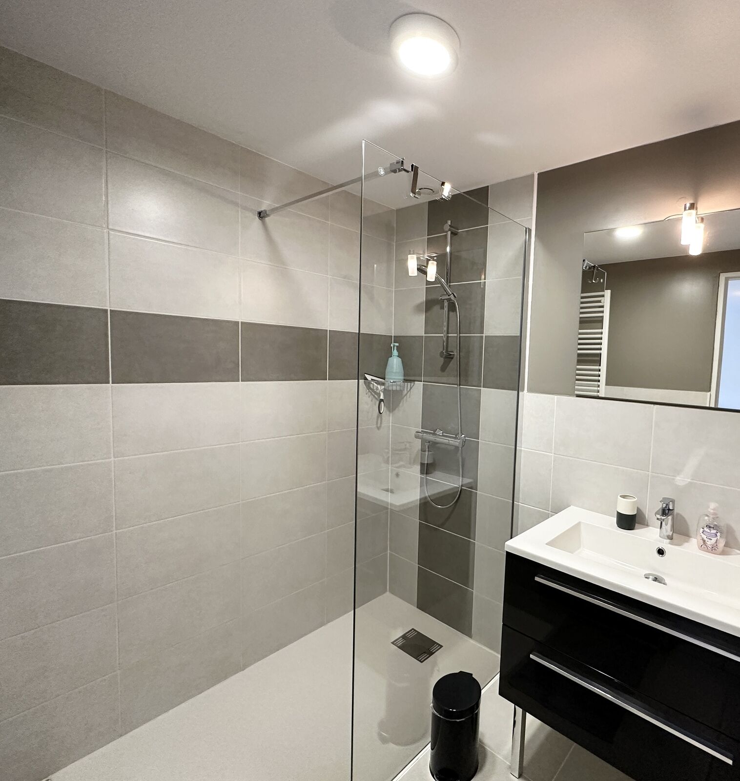 Domaine avec plusieurs habitations sur plus de 11 hectares - salle d'eau