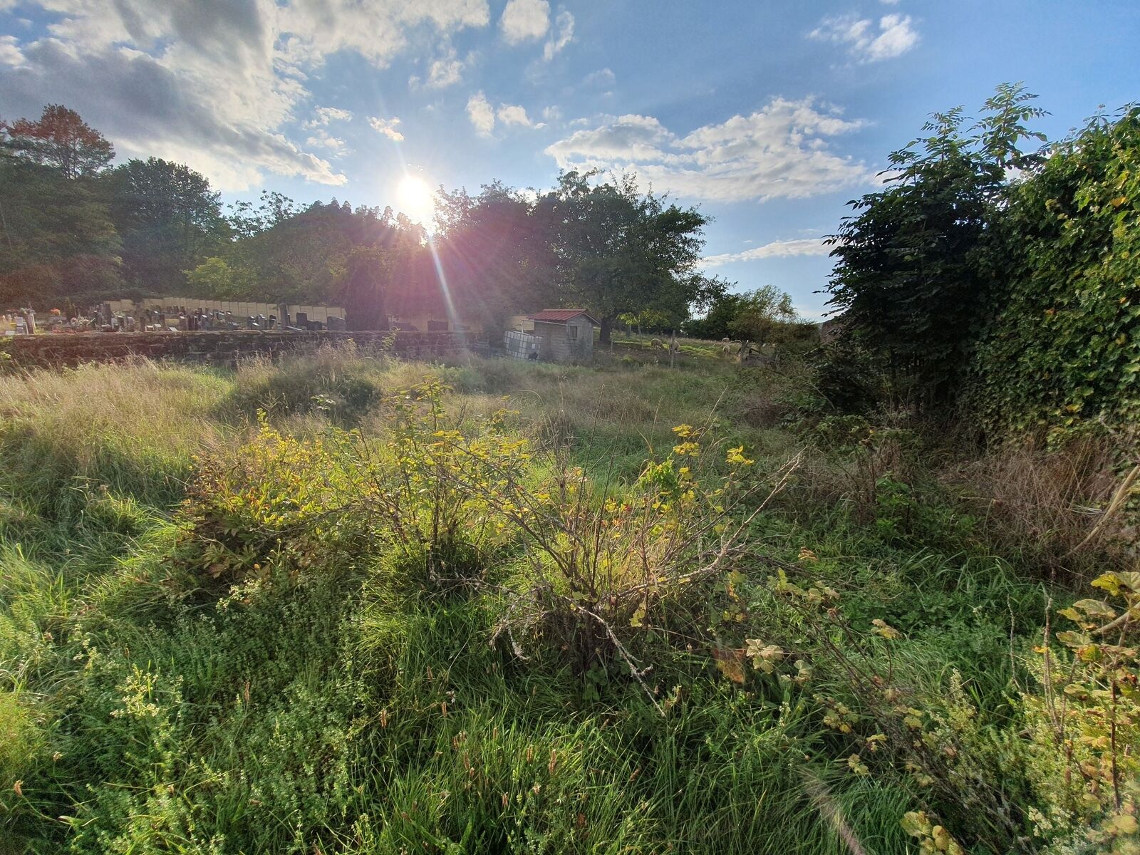 Ensemble immobilier sous offre.  - 20230914 180659