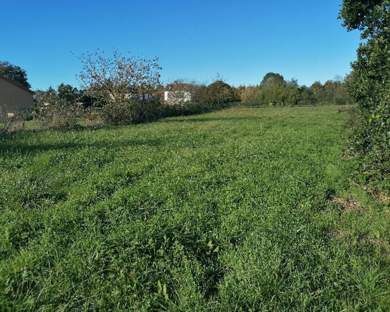 terrain à bâtir de 1525m² - Terrain 1