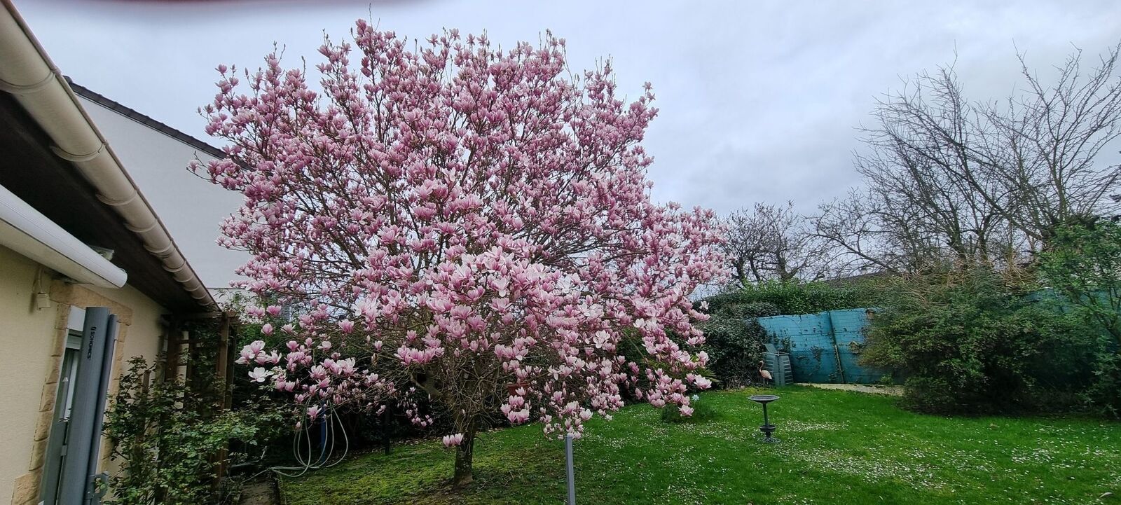 Maison à Quincy-Voisins de plain-pieds - Resized 20240313 173242 1710507355362