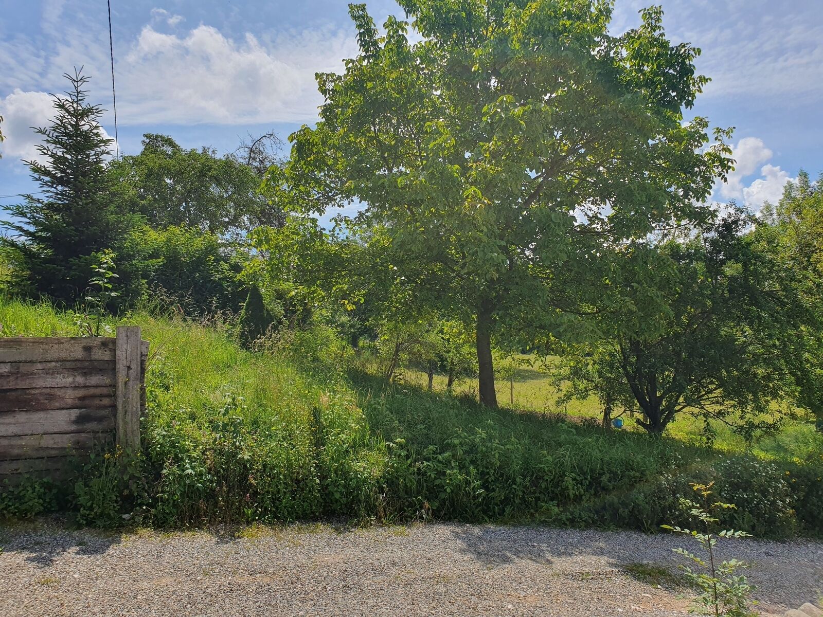 Bel appartement dans un cadre de verdure - 20240612 114839