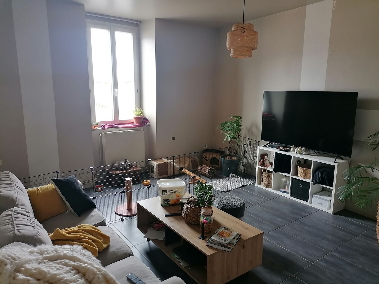 A vendre immeuble de deux appartements à Vic en Bigorre - Salon app 2