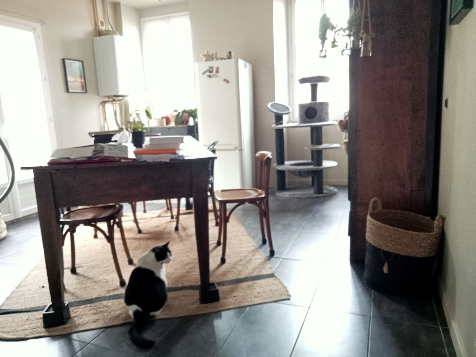 A vendre immeuble de deux appartements à Vic en Bigorre - Cuisine apt2