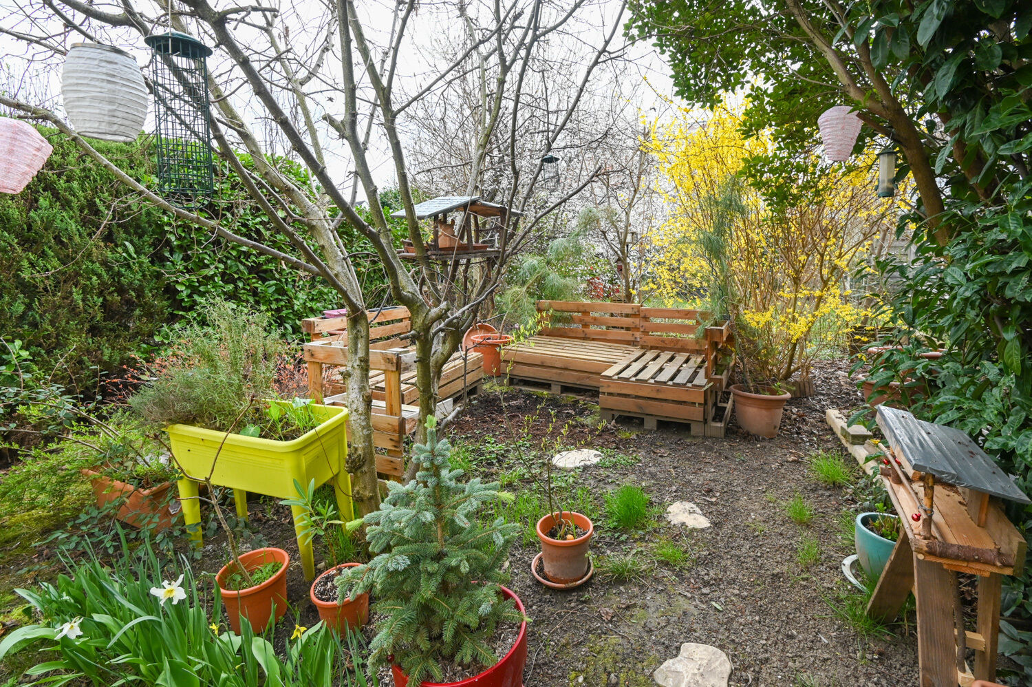 Beau 4 pièces en triplex à Bischheim avec garage et jardin - Jardin-4