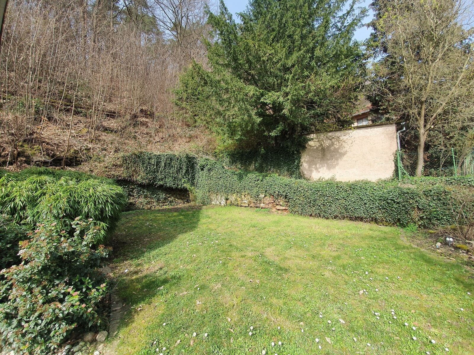 Belle de maison de 153 m2 habitables à Offwiller.  - 20240320 111426