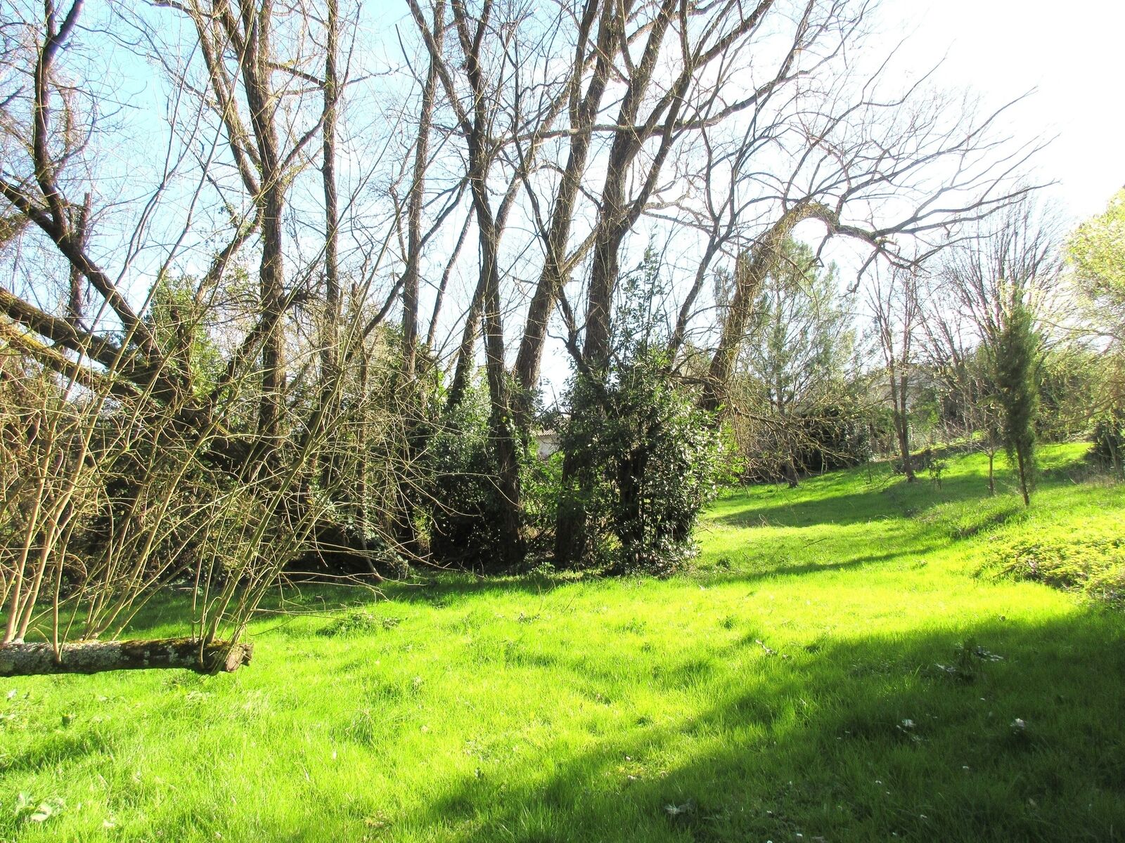 Spacieuse maison en pierre - Img 3797