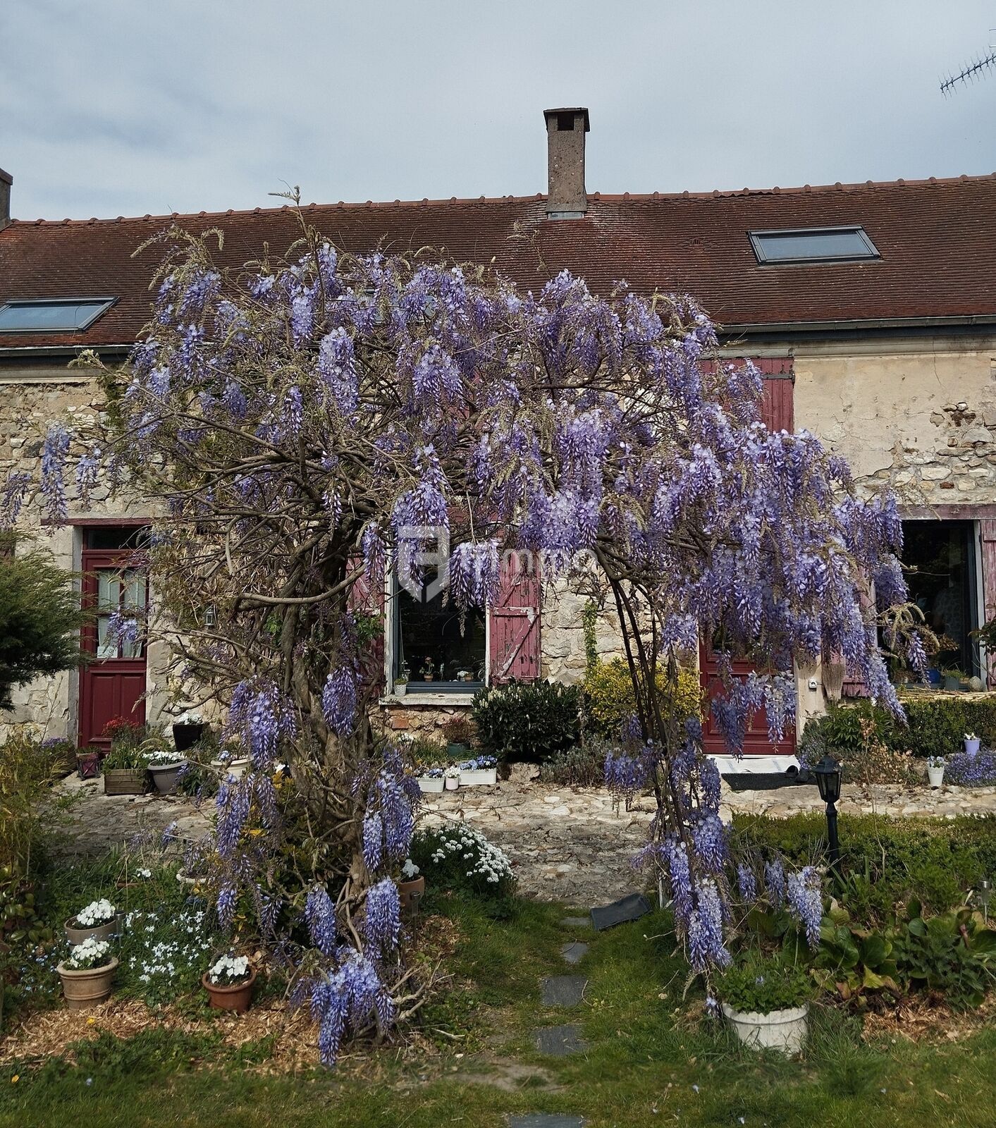 Le charme à portée de Main  - Img 20250419 154548