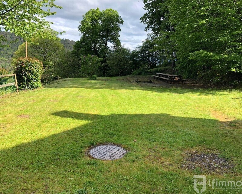 Un havre de paix dans un écrin de verdure  - Photo terrain frédéric