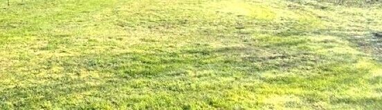 Terrain à bâtir  - Img-03