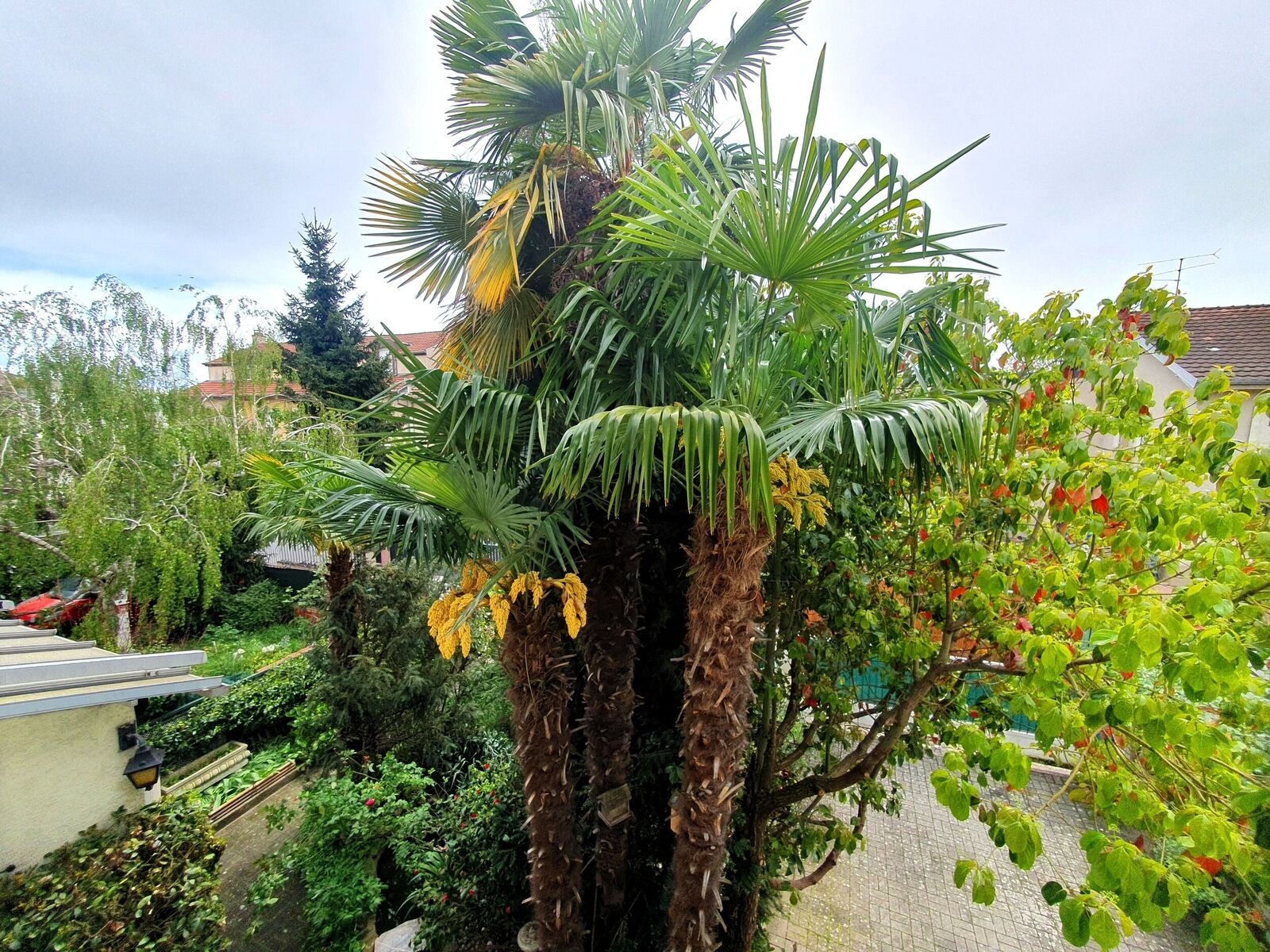 Une pépite urbaine à découvrir - 05