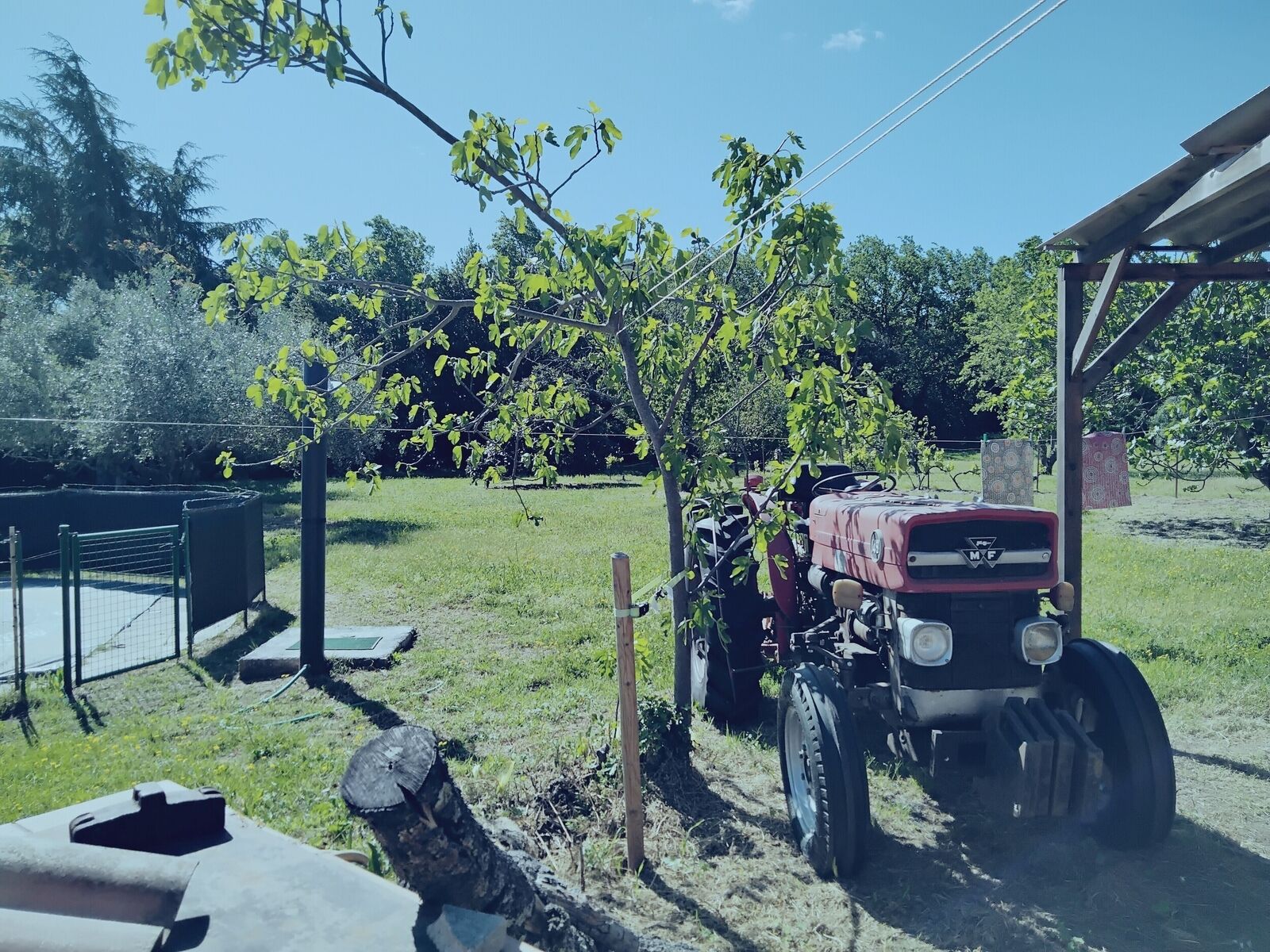 Maison de campagne avec piscine sur terrain plat de 8190 m² environ - Img 20240418 105218 406