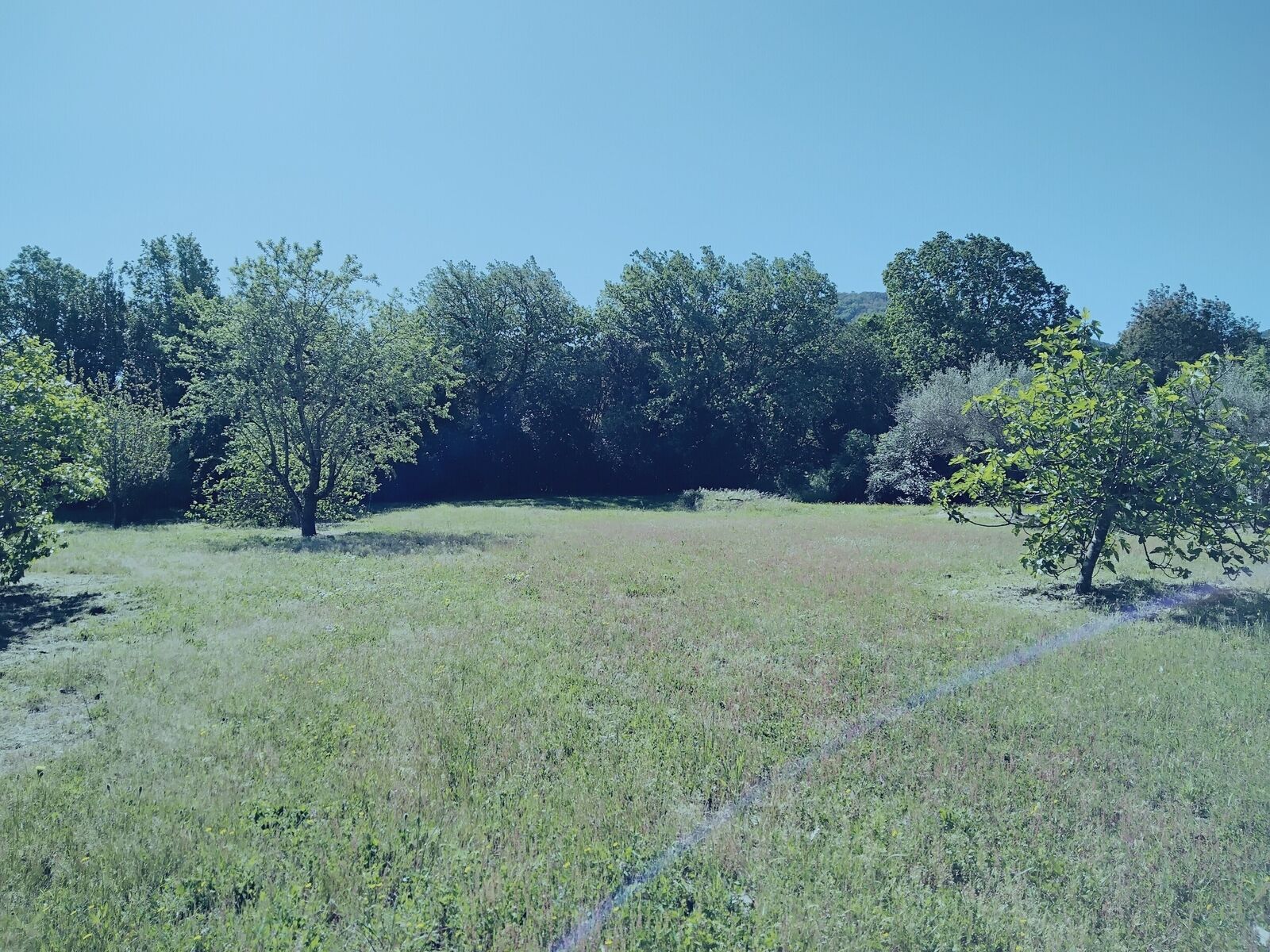 Maison de campagne avec piscine sur terrain plat de 8190 m² environ - Img 20240418 102651 589