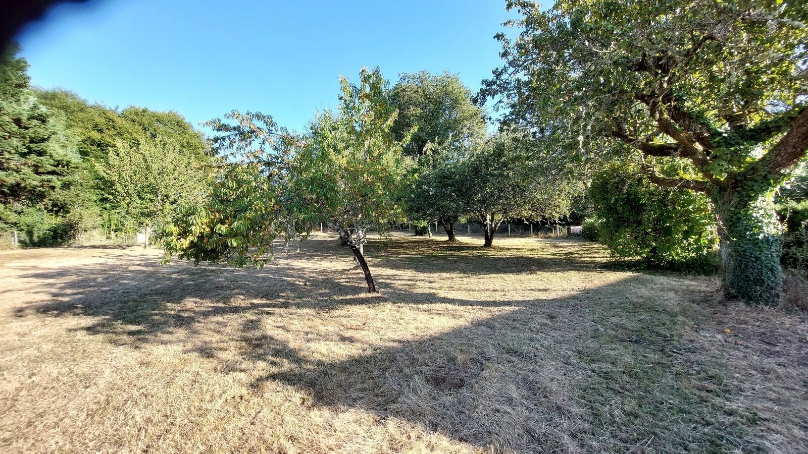 Terrain à bâtir de 1695m² situé au calme - 20240823 184911