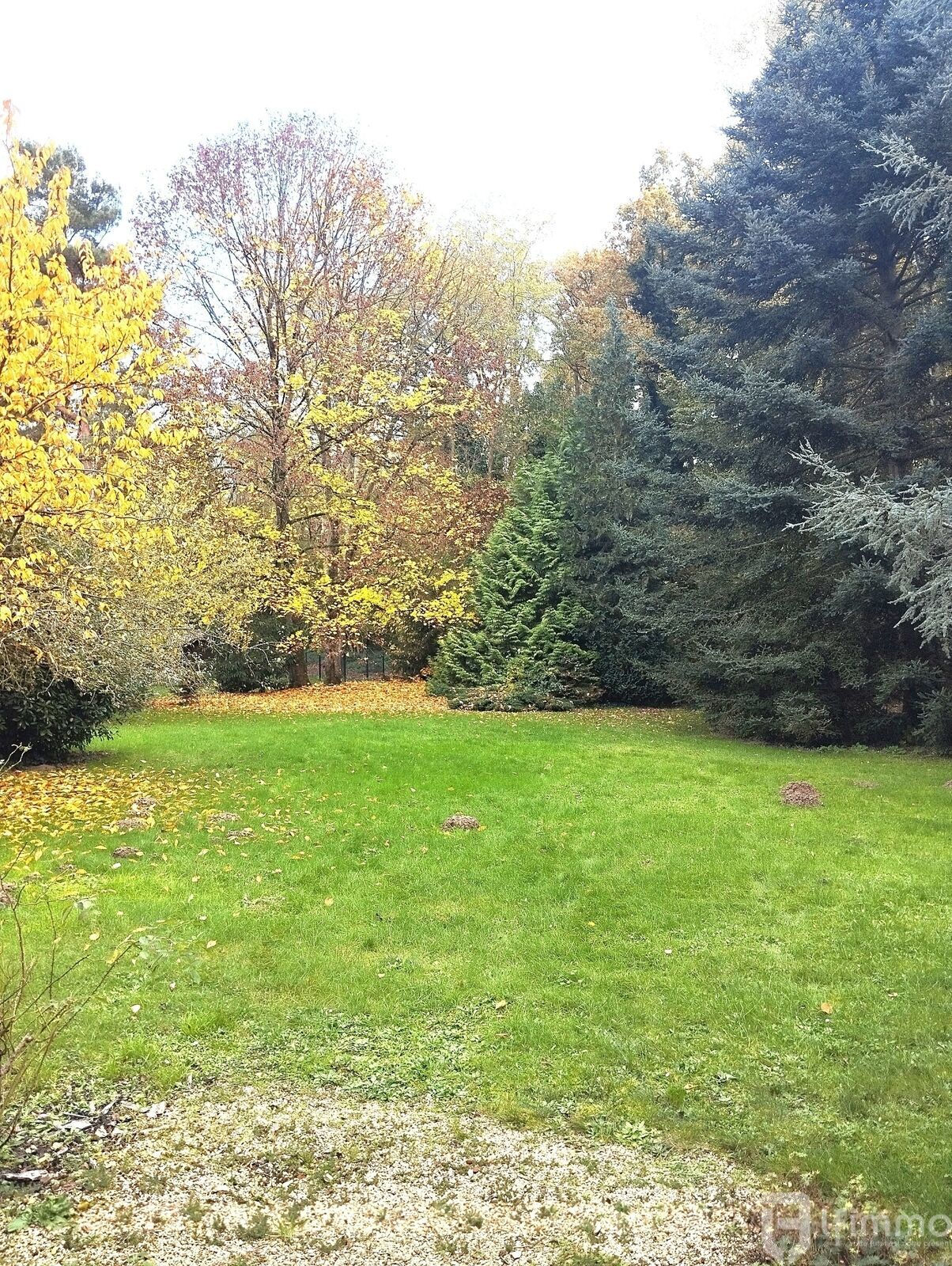 Maison d'architecte  165 m²   - 1000012019