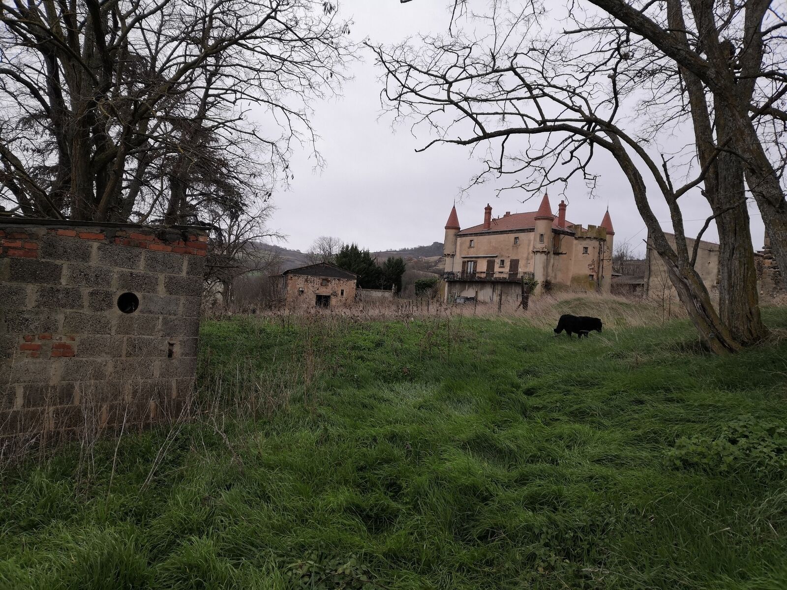 Ferme Château, dépendances et maison individuelle rénovée - Img 20240309 154718