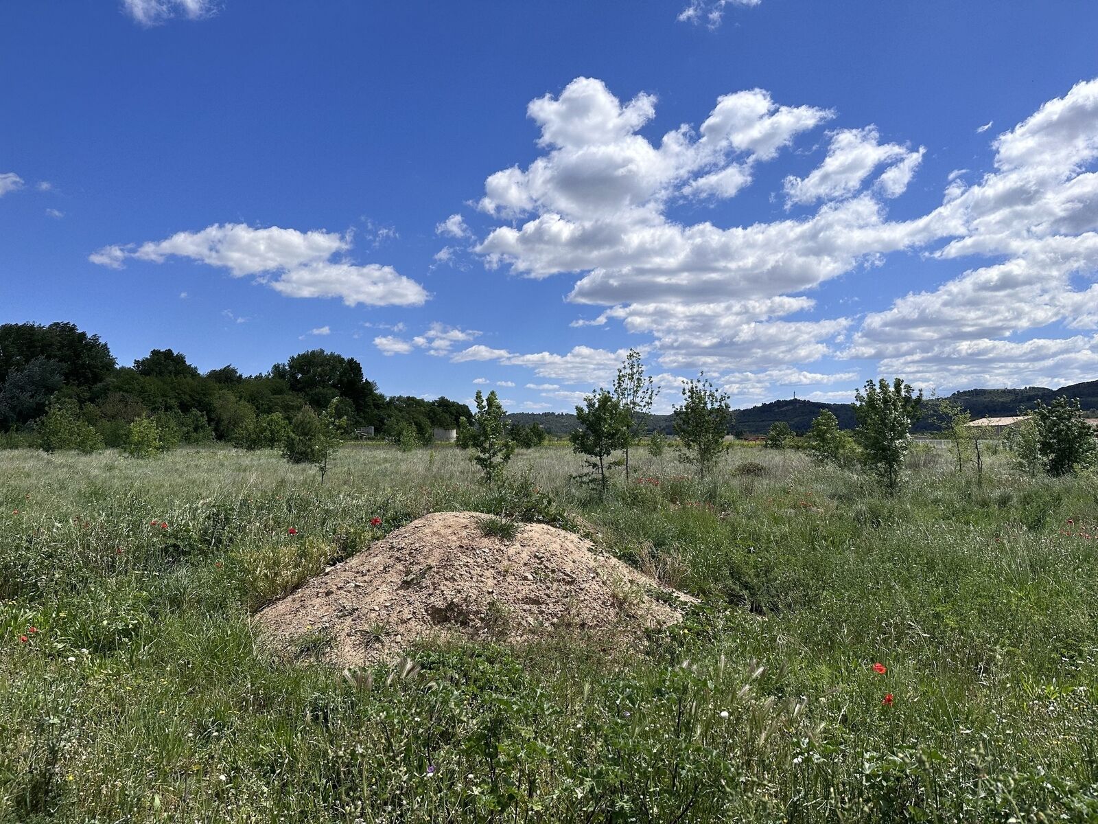 Terrain Viabilisé de 6000 m² - Img 3258