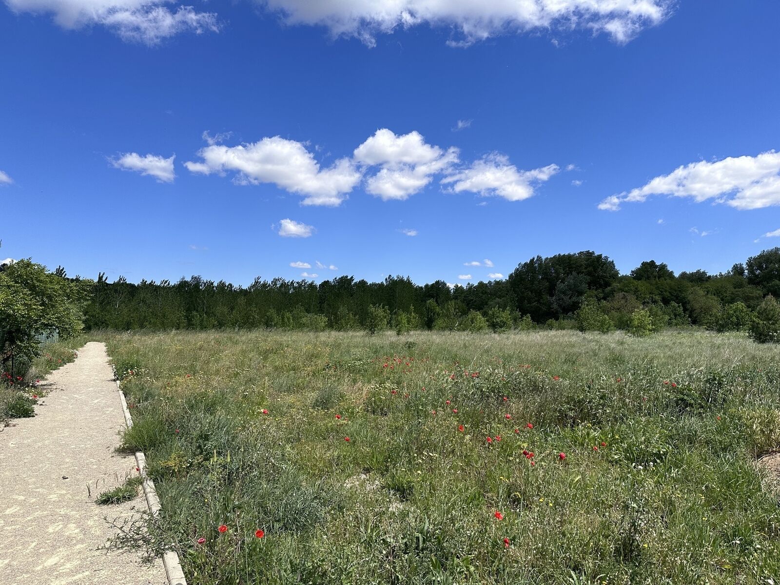 Terrain Viabilisé de 6000 m² - Img 3257