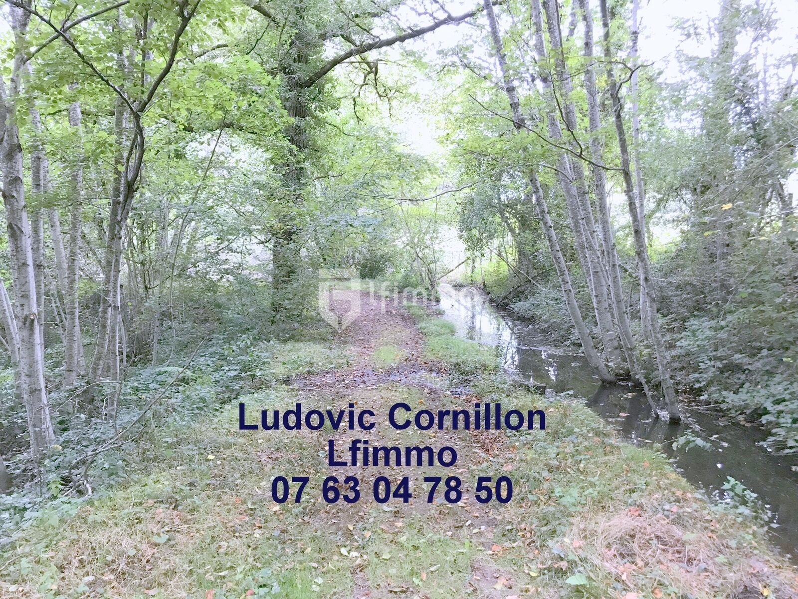 Propriété de charme 210m2, grange, 4ha, 2 étangs - Img 5298