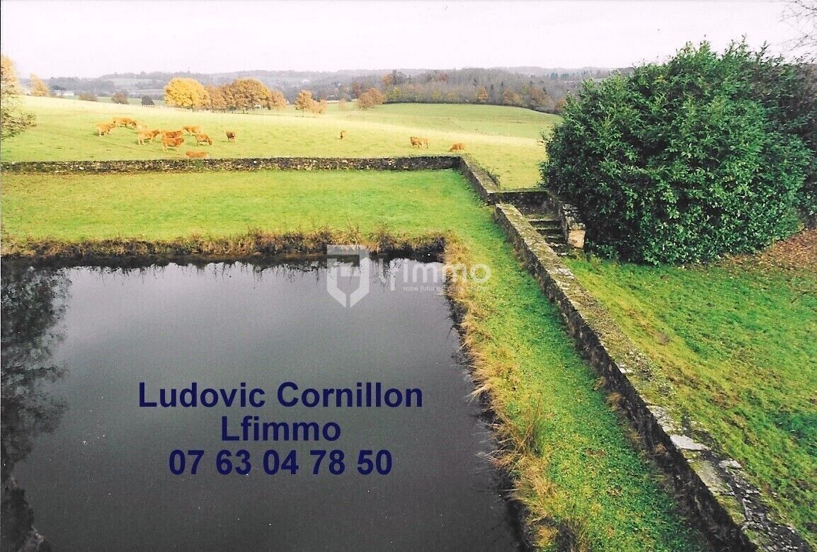 Propriété de charme 210m2, grange, 4ha, 2 étangs - Etivaudcornillon3