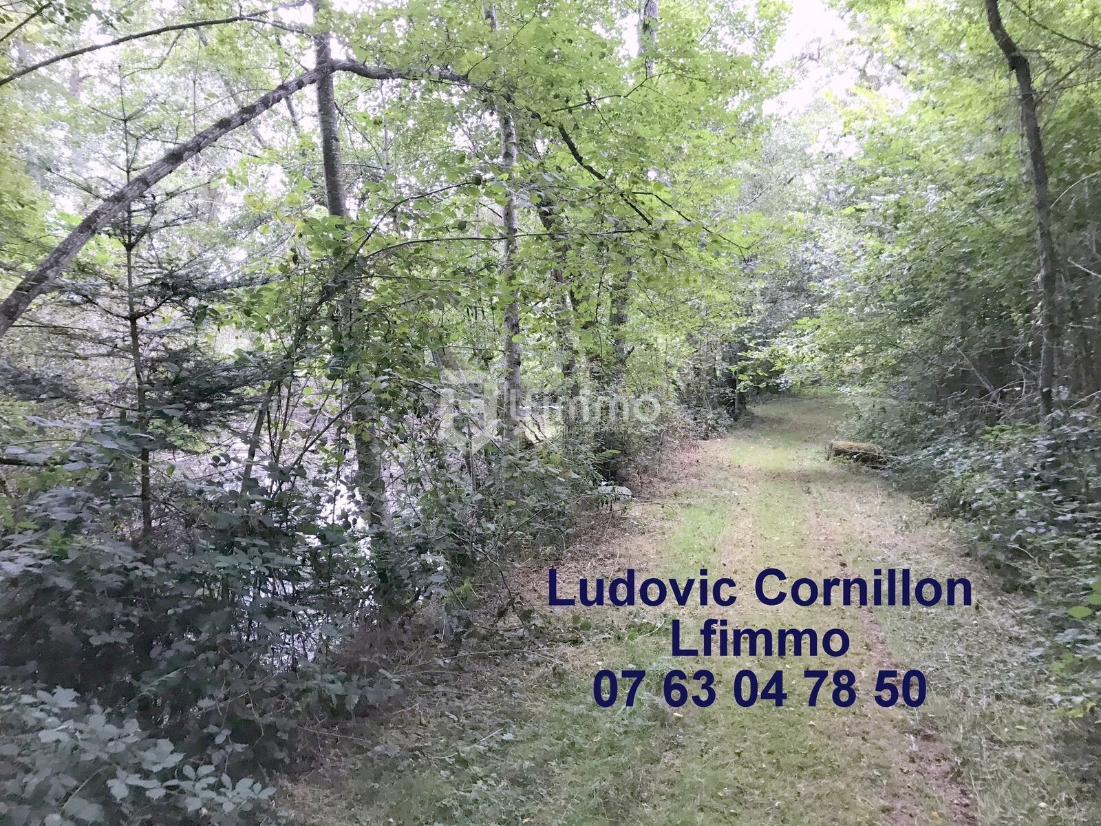 Propriété de charme 210m2, grange, 4ha, 2 étangs - Img 5320