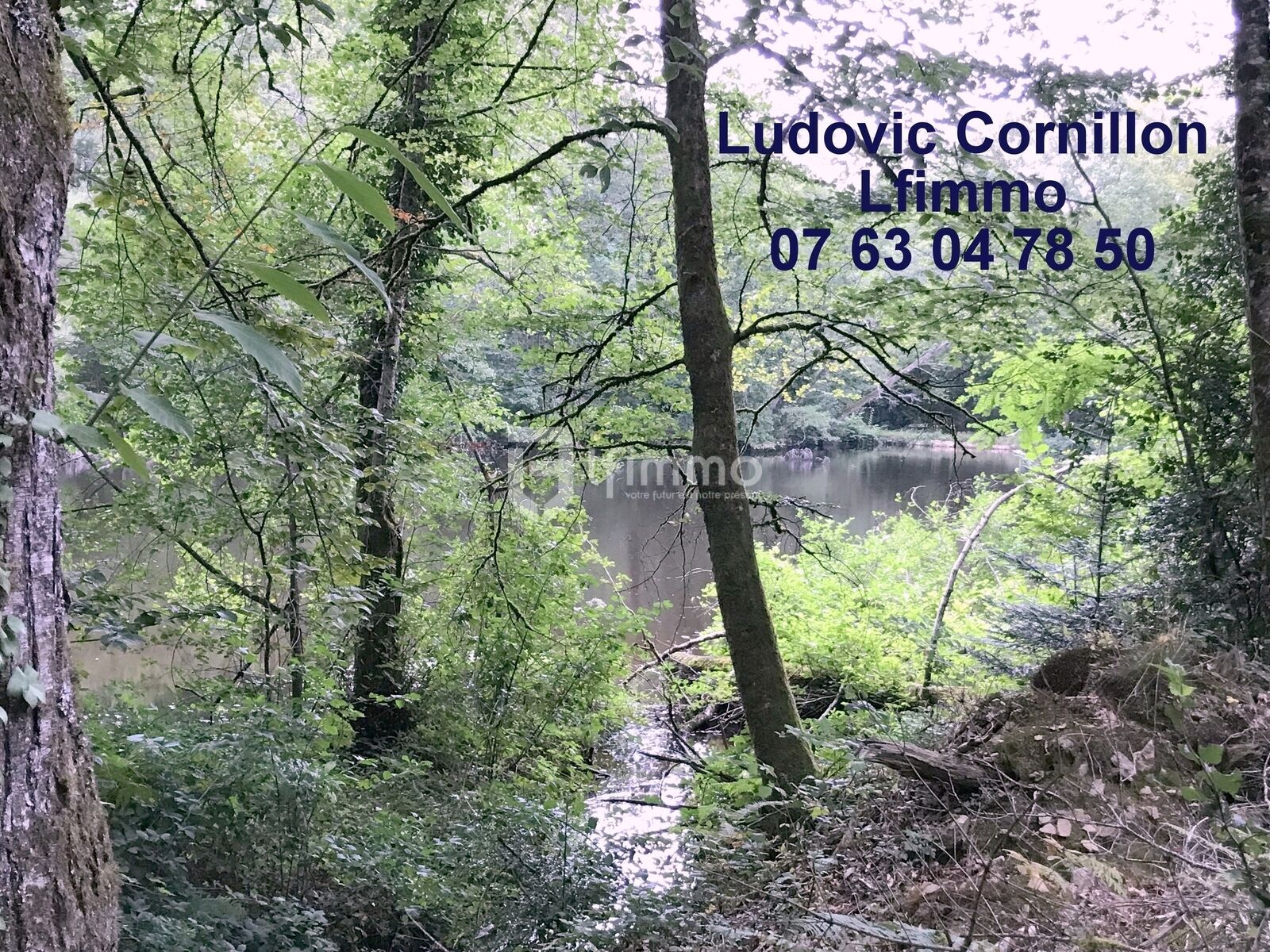 Propriété de charme 210m2, grange, 4ha, 2 étangs - Img 5312