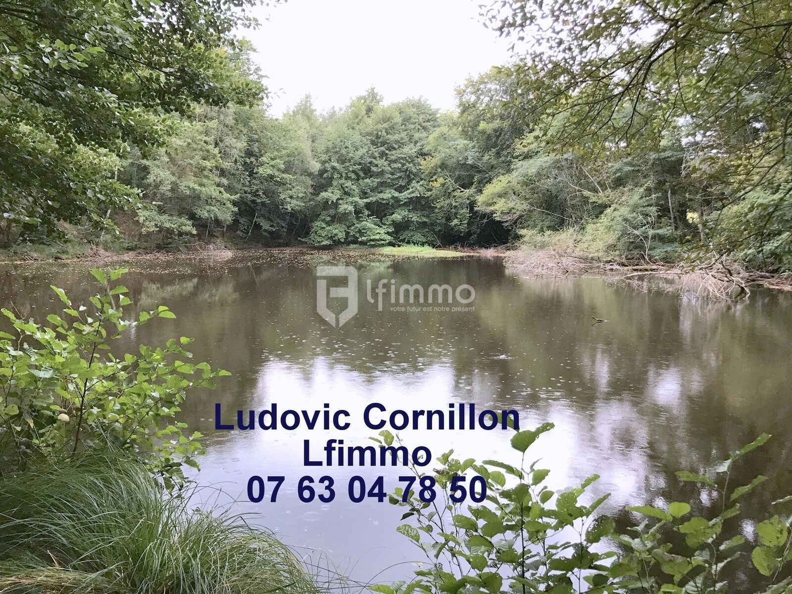 Propriété de charme 210m2, grange, 4ha, 2 étangs - Img 5317