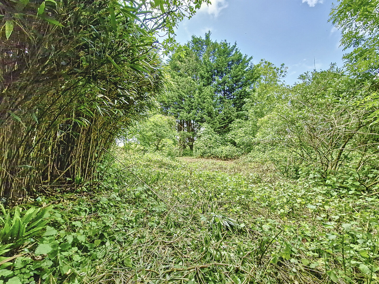 Longère de 3 pièces, 80 m² à Plomodiern 29550 - Axehbkrlj2zfd4b2iyrmtvr3h2ylc4ltiwmjqwntizmtqymdey 20240523145942 00364 4f066a0