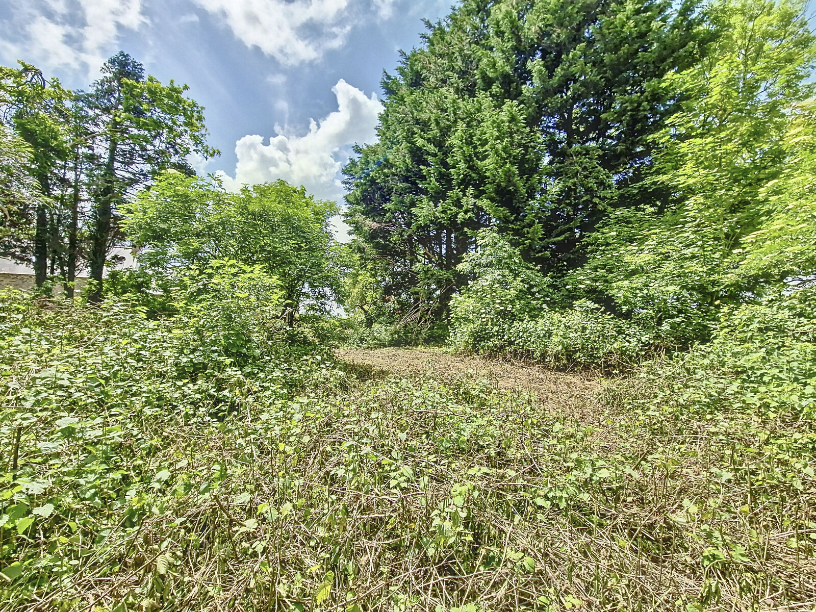 Longère de 3 pièces, 80 m² à Plomodiern 29550 - Axehbkrlj2zfd4b2iyrmtvr3h2ylc4ltiwmjqwntizmtqymdey 20240523150031 34298 66bf2e0