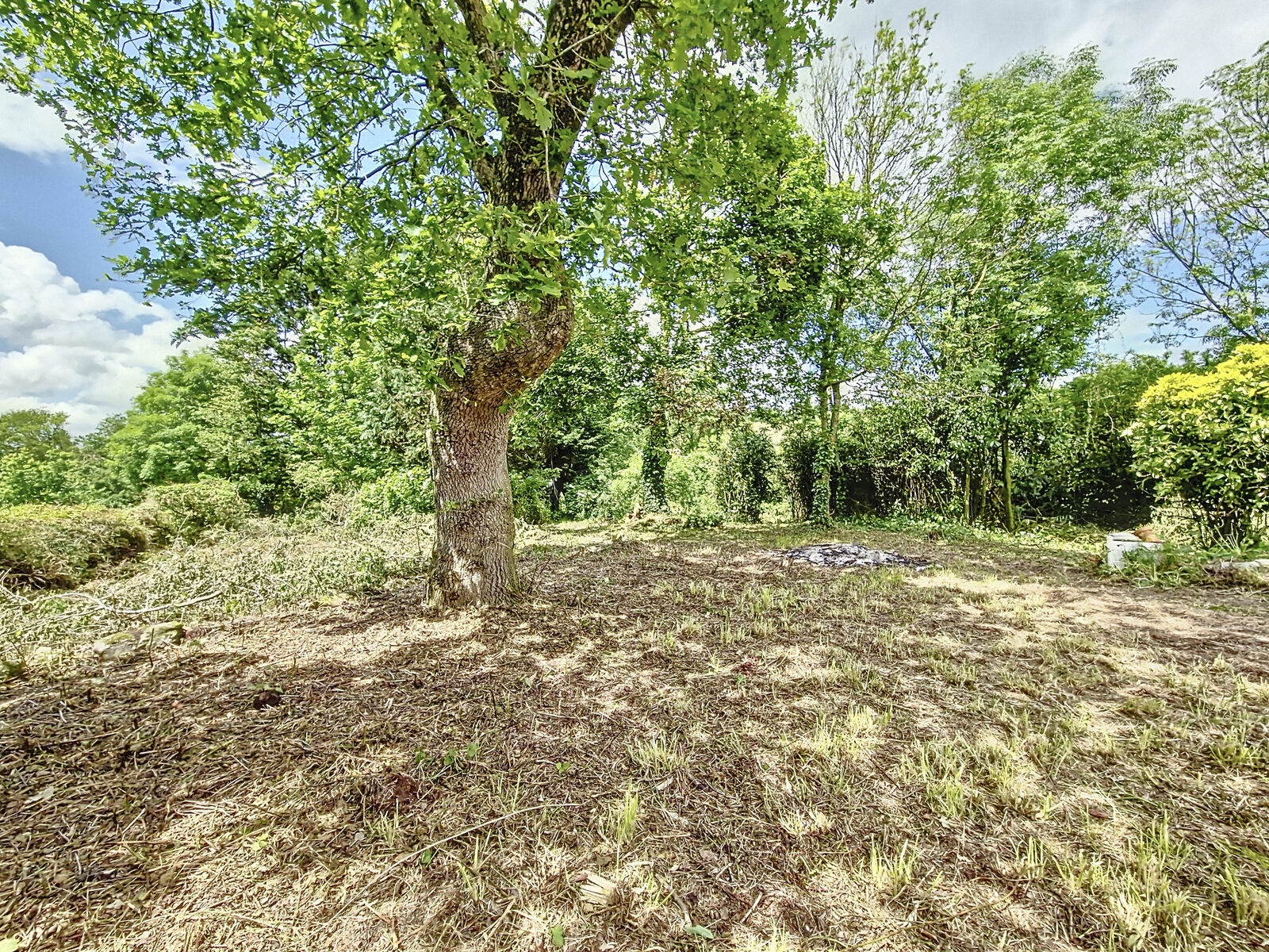 Longère de 3 pièces, 80 m² à Plomodiern 29550 - Axehbkrlj2zfd4b2iyrmtvr3h2ylc4ltiwmjqwntizmtqymdey 20240523150337 21080 70acb3d