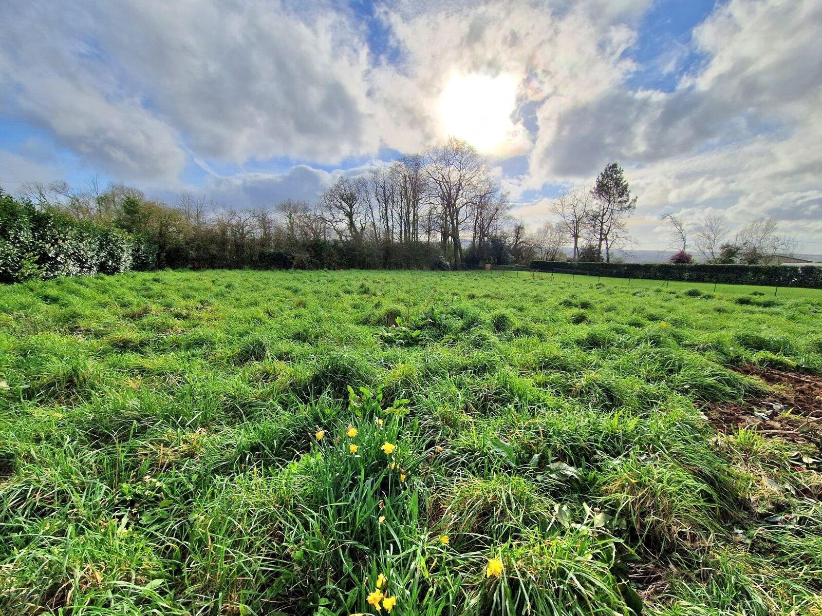 Terrain à bâtir de 1729 m²  - 20240313 170730