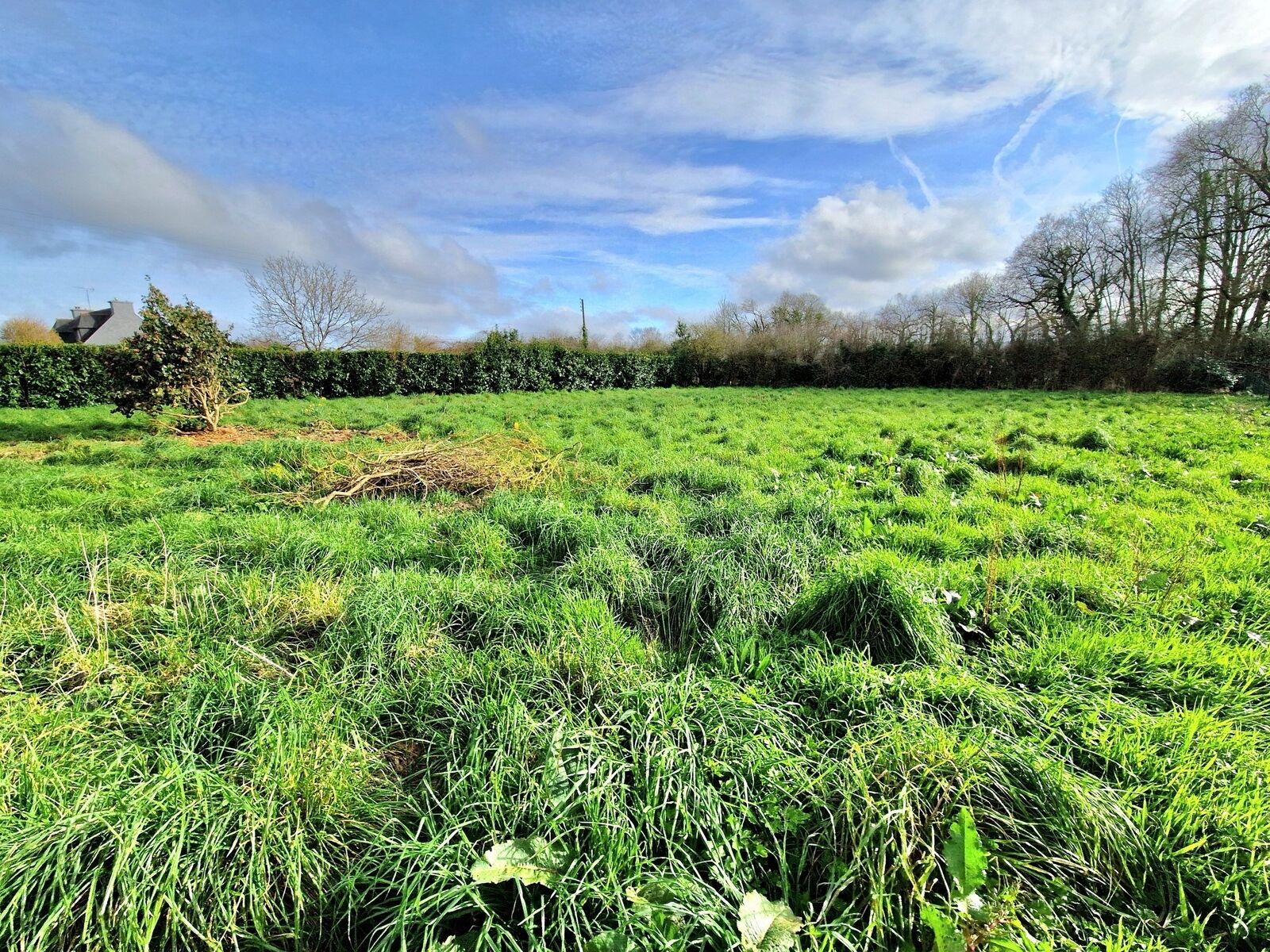 Terrain à bâtir de 1729 m²  - 20240313 170326