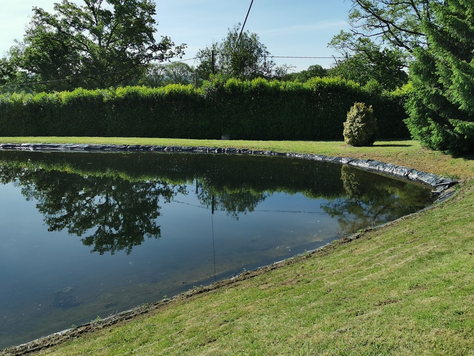 Propriété Familiale : 2 maisons, 19 ha hangar, grange; typé équin. - 8
