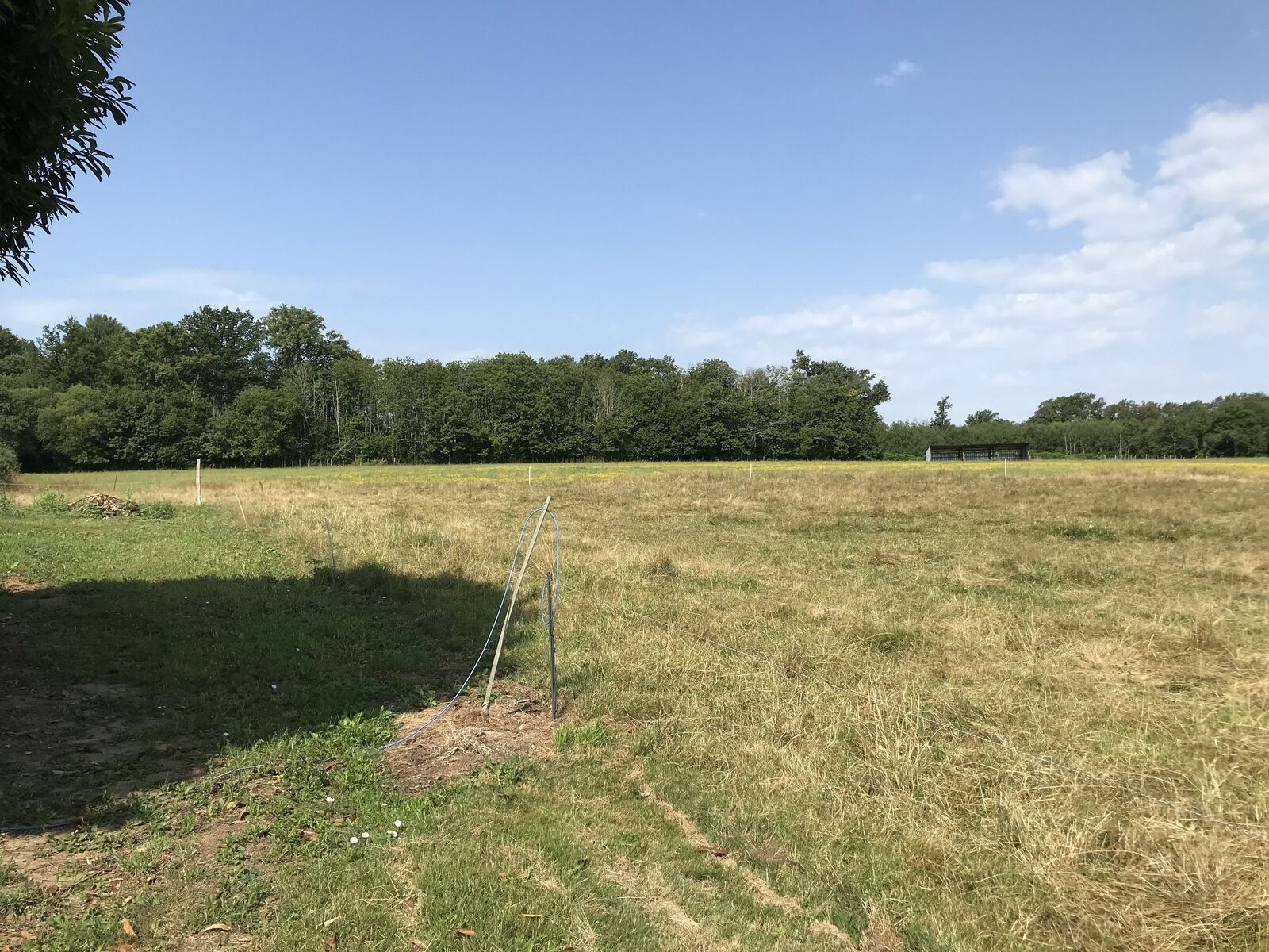 Propriété Familiale : 2 maisons, 19 ha hangar, grange; typé équin. - 10