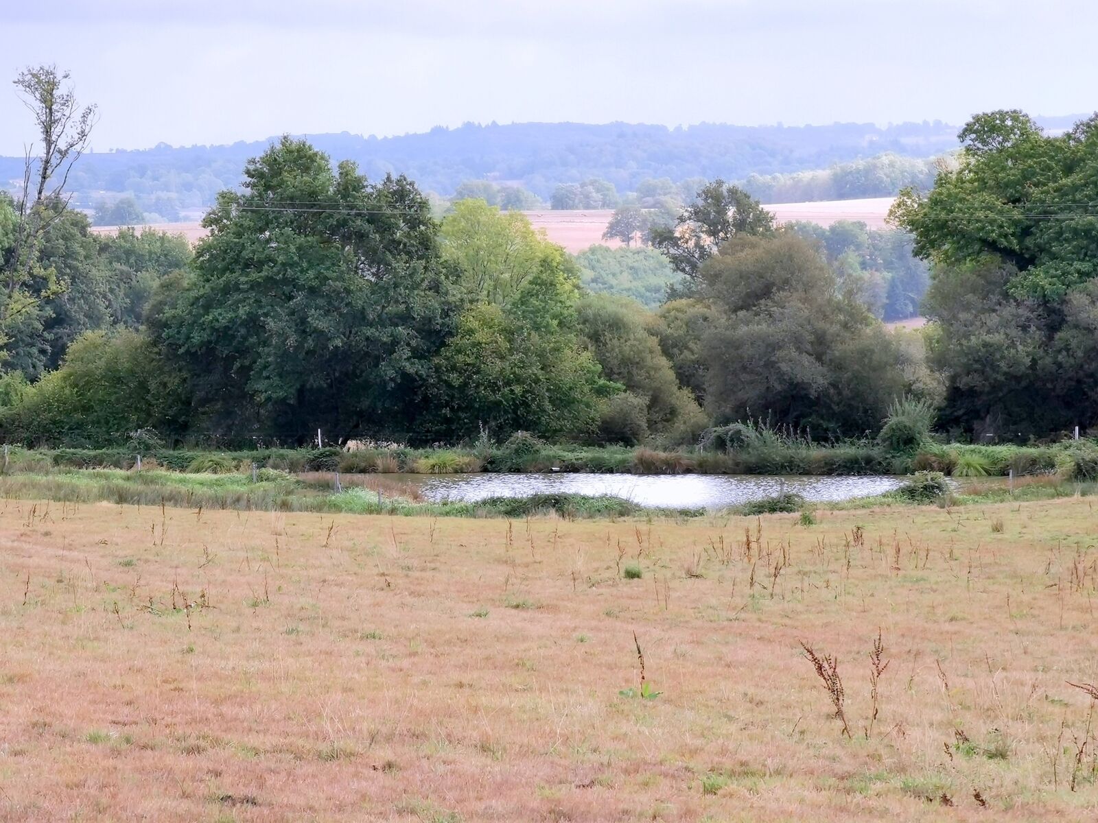Propriété Familiale : 2 maisons, 19 ha hangar, grange; typé équin. - 20