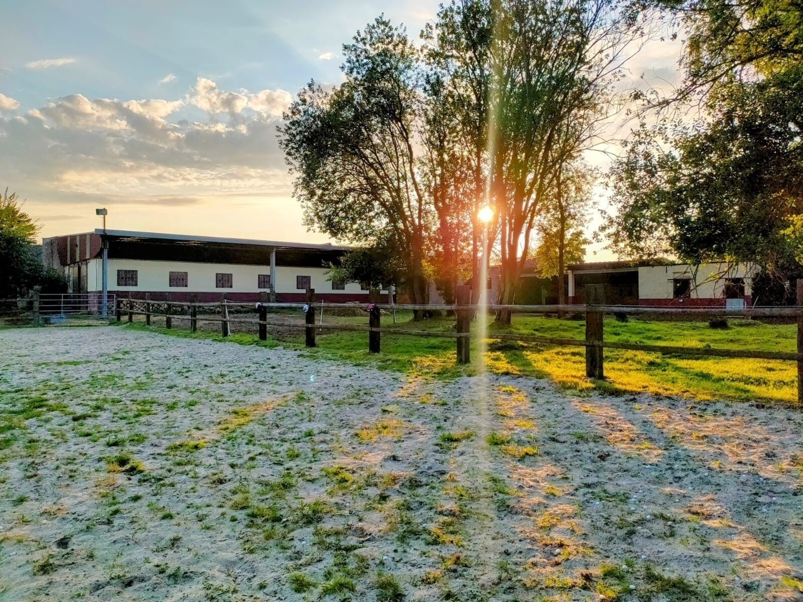 Propriété équestre  - 6105f026-3ed6-4e32-8796-3e2c82f5529b