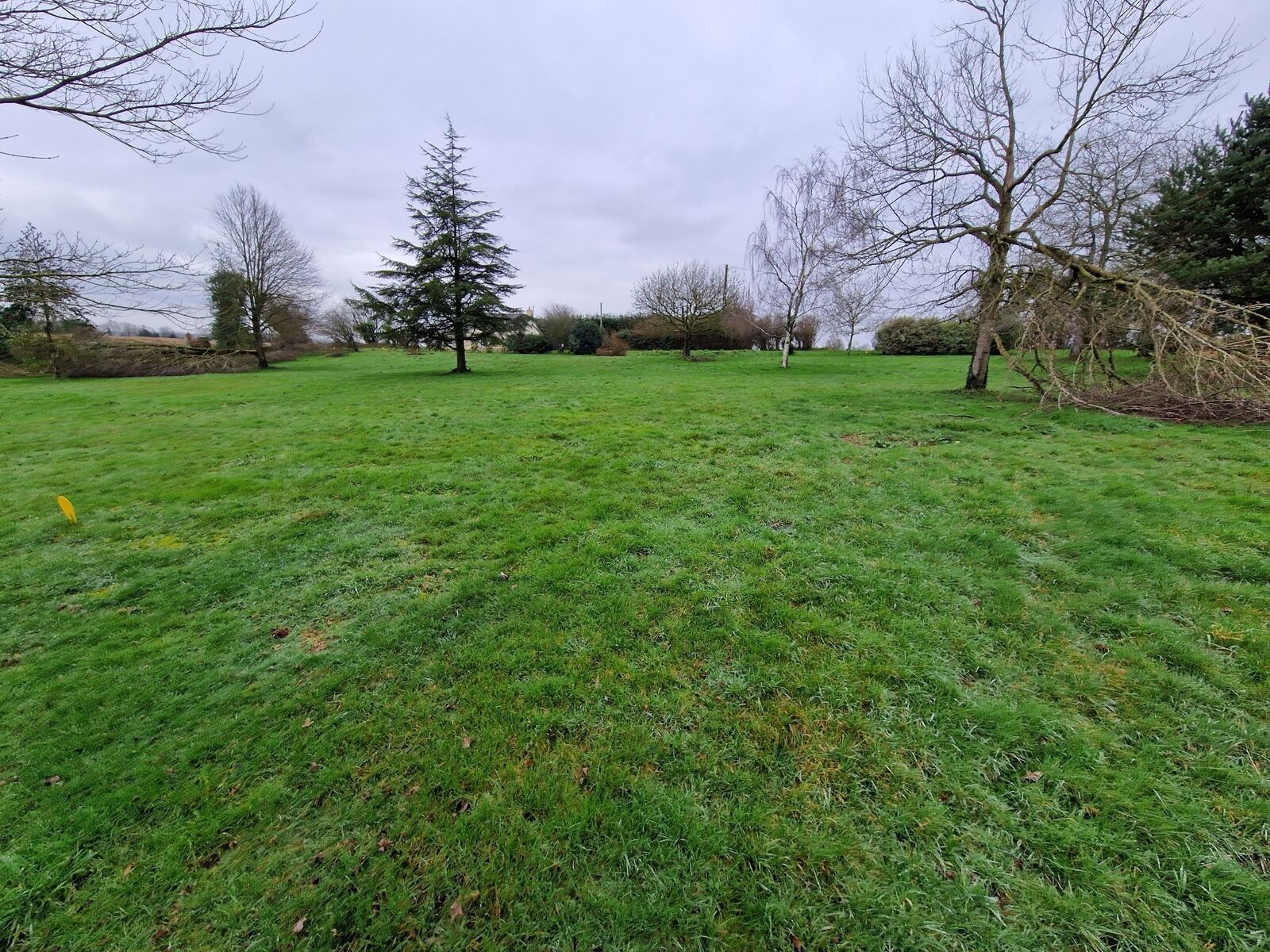 Terrain de 1623 m² à Cast 29150 - 20240205 161916