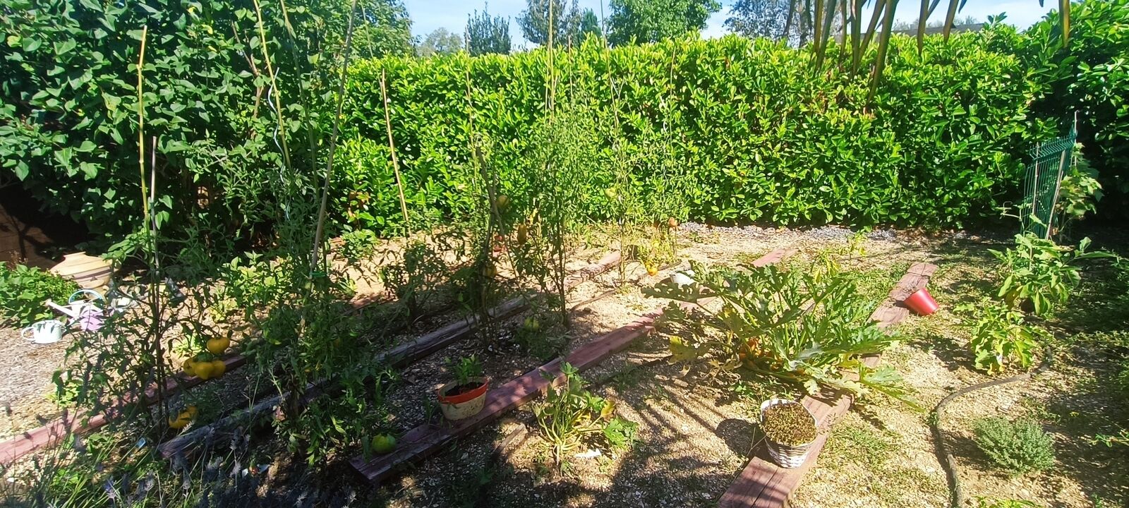 Maison 6 pièces Misy Sur Yonne Vinneuf  - Potager