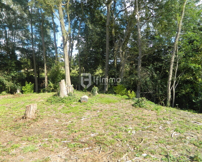 Terrain à bâtir sur Neuilly saint front  - Dscn0500