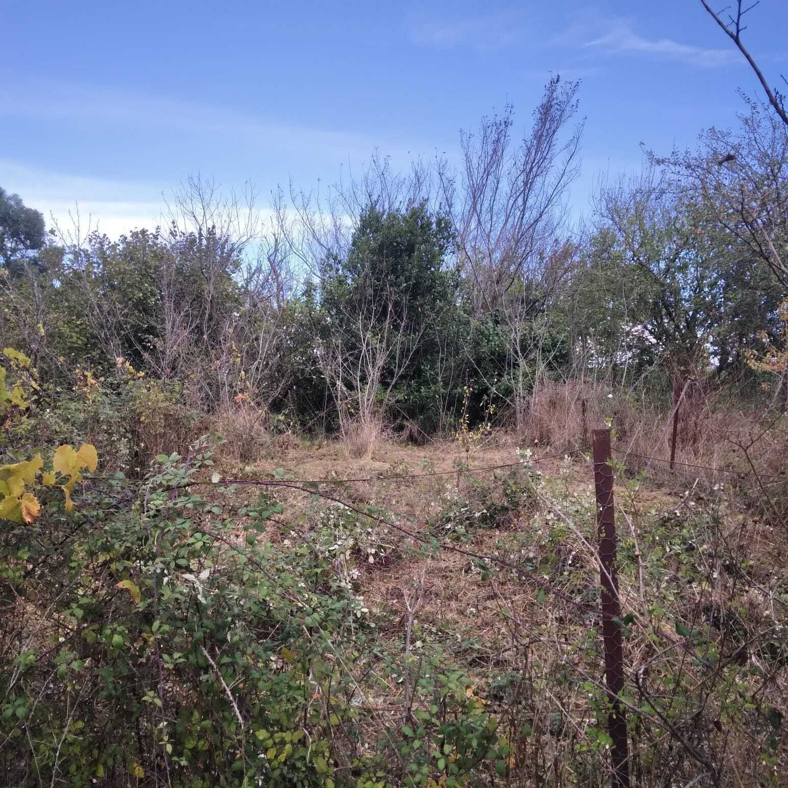 🏚️ Amoureux de la rénovation ? Ce projet est fait pour vous ! 🏡✨ - 1000016167