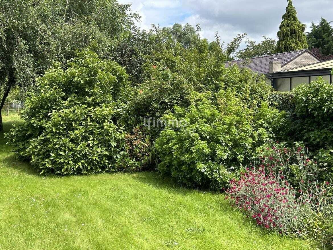 Maison individuelle semi plain-pied de 160m2 - 8916aeae-503b-482c-a4e8-e5246f57154c