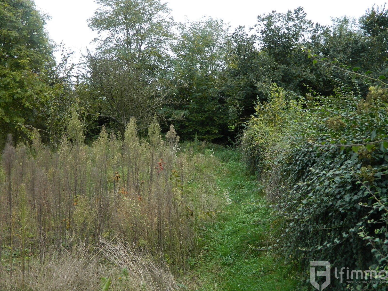 Investissement  Rentable- 2 maisons et un appartement  221 m²  - Dscn0638