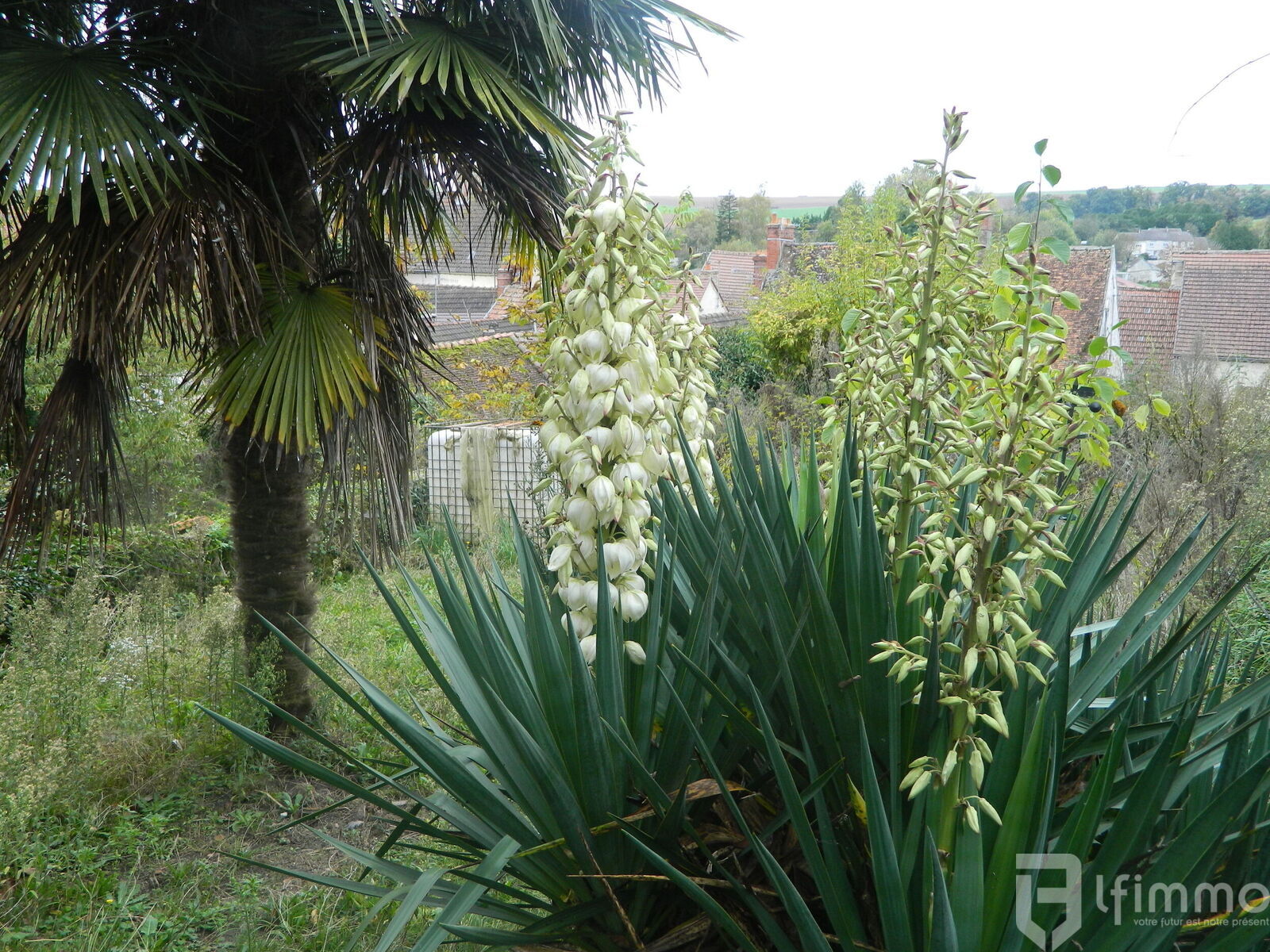 Investissement  Rentable- 2 maisons et un appartement  221 m²  - Dscn0633