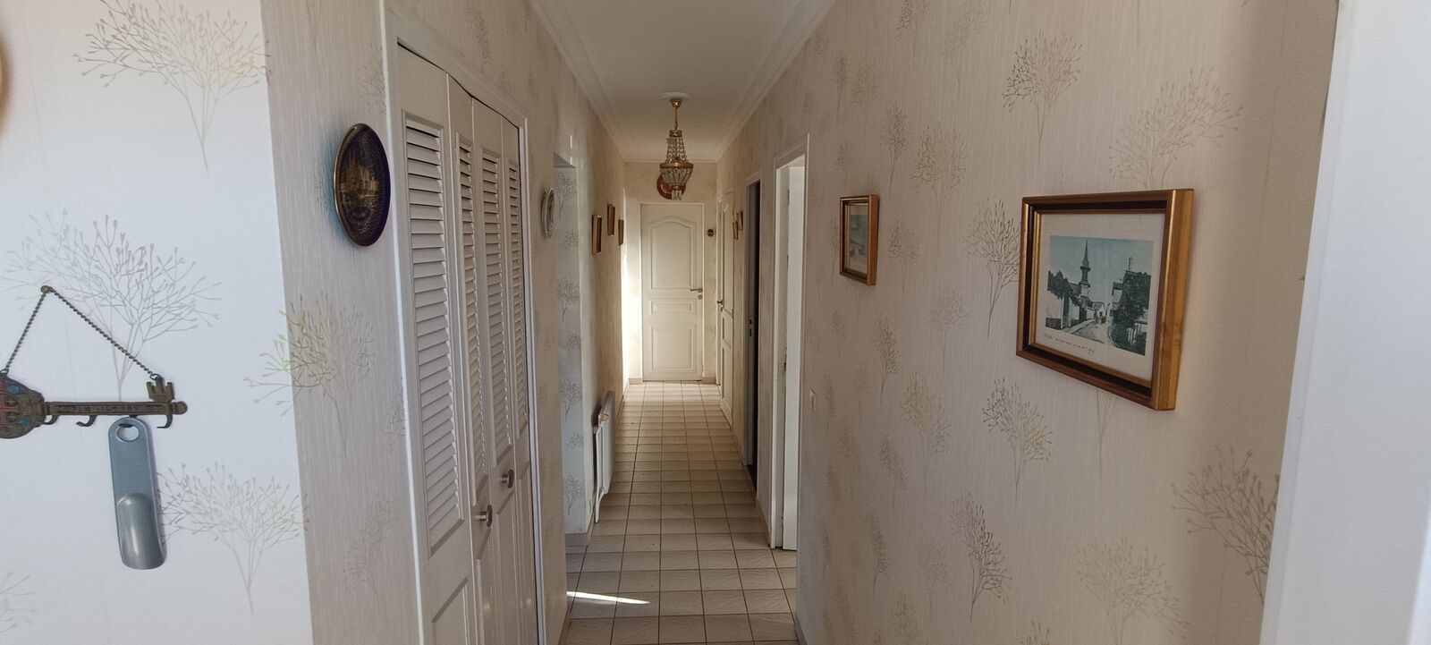 Maison 3 chambres + bureau + garage + terrasse + jardin - Img 20241004 095947